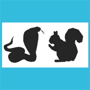 Snakes Vs Squirrels  Icon
